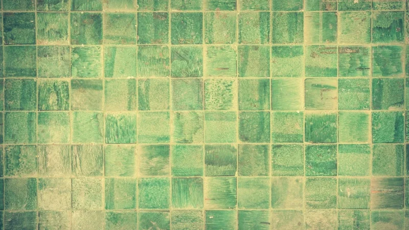 Arte 25×25: Wyjątkowe Płytki Do Twojej Łazienki
